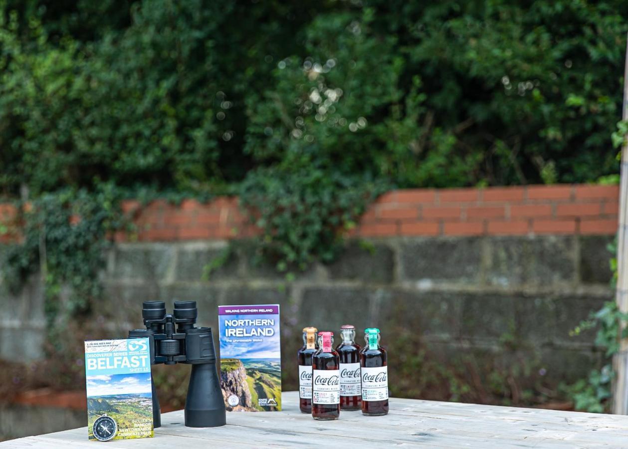 Entire Family Home , Large Rear Garden And Free Parking Belfast Exteriér fotografie